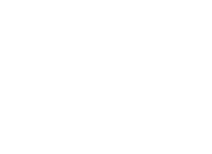 Elite Lawyer