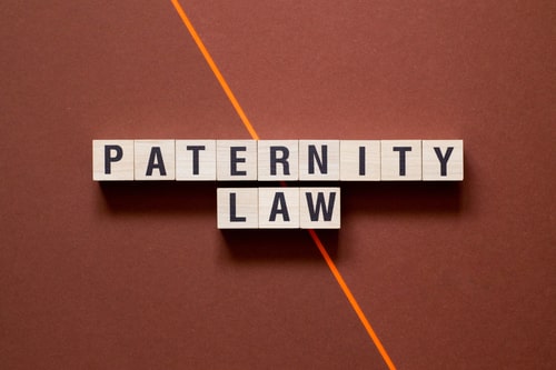 St. Charles paternity lawyer